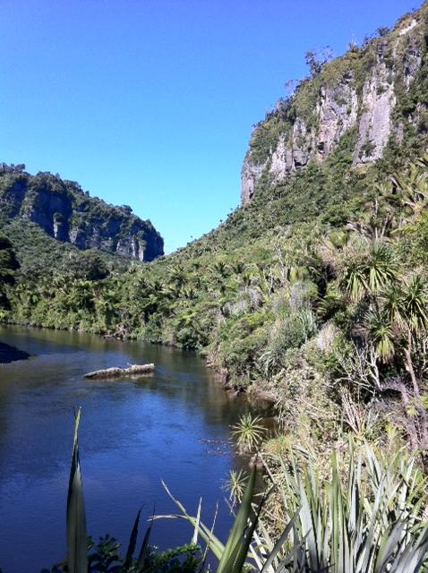 22 March 2011 à 15h47 - Pororari track, belle rando au milieu de cette forêt dense, dans le parc national de Paparoa.